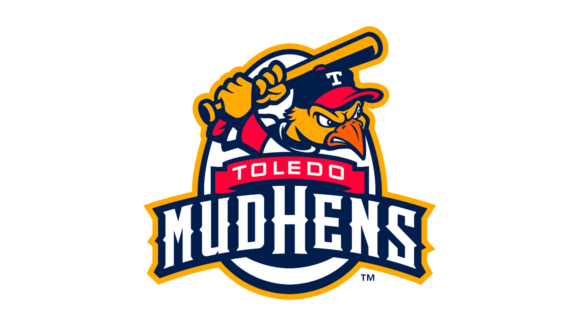 Toledo Mud Hens Group Outing Community Lutheran Church
