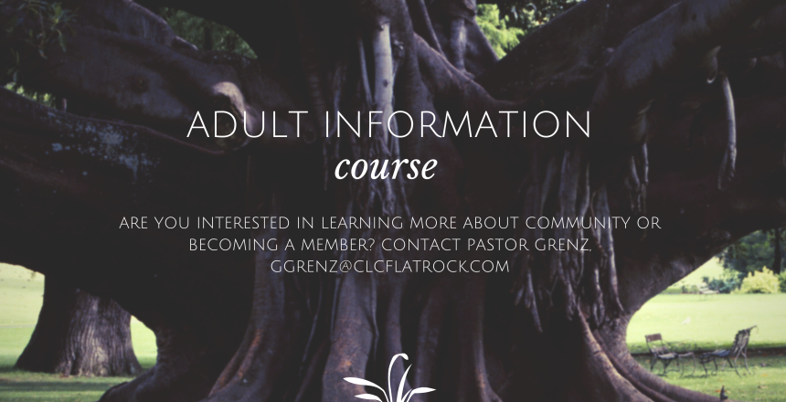 Adult Information Course