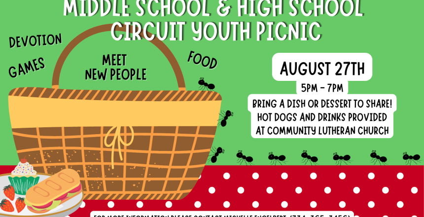 Middle School & High School Circuit Youth picnic